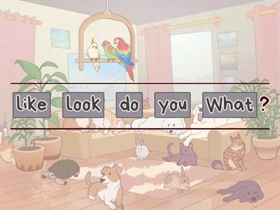 What does he look like? 