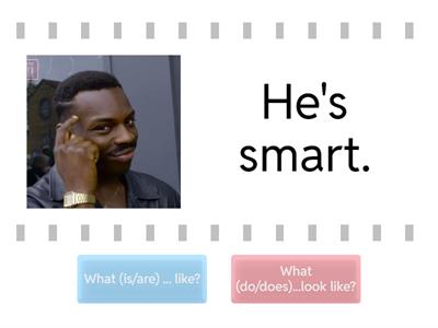 What (be) ... like? / What (do)...look like?