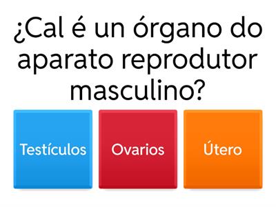 Reprodución Humana e Adolescencia