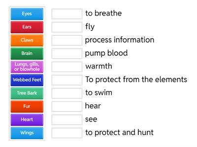 Functions of Internal & External Structures