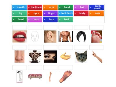 Body 7 класс Кузовлев