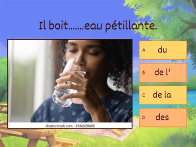 Unité 2 - Grammaire : Les articles partitifs