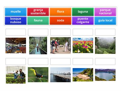 Vocabulario de viajando por Costa Rica 1