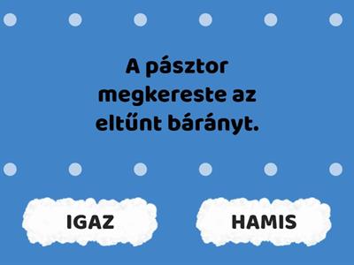 Az elveszett bárány története; Igaz vagy hamis az állítás?