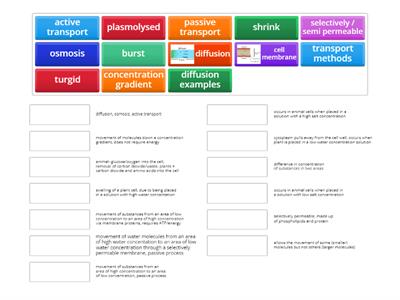 National 5 Biology KA1.2 Transport across membranes