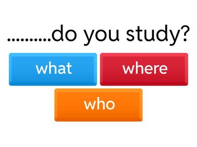 เติม what who where when why ที่เหมาะสม