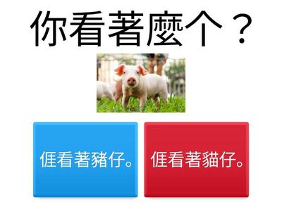 康軒版國小一年級L3（第1冊）〈白兔仔〉文法