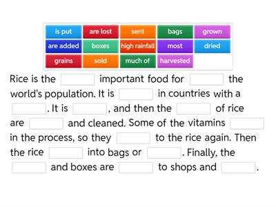 Grammar Goals 5 U6 ex3p40