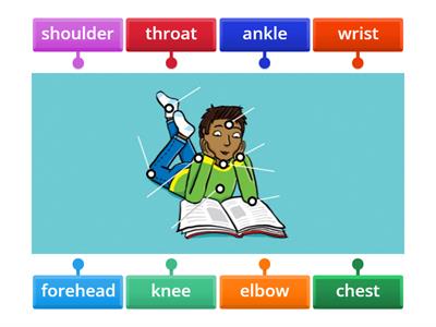 Match the parts of the body to the words in the box.