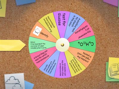Magical Macro Wheel of Vocab 1