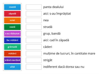  Vocabular - Iarna pe uliță