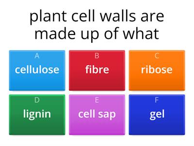 all about cells