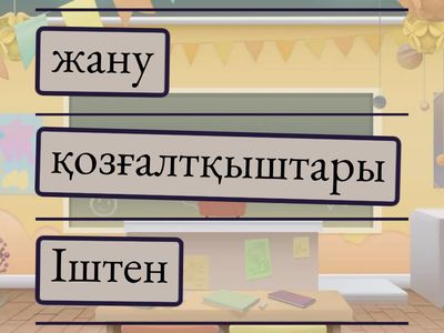 Дұрыс орындарға қой