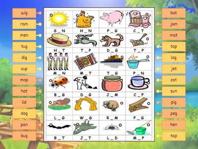 CVC Identify the pictures