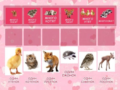 7 тип ССС. Один и много.