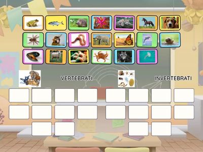 INSERISCI GLI ANIMALI NELLA CATEGORIA CORRETTA.