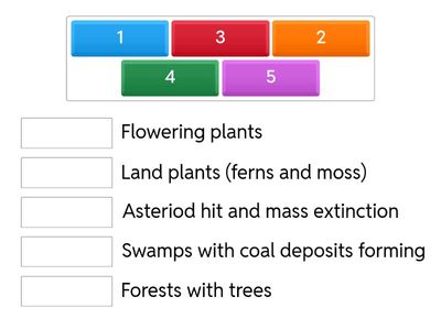 Plant kingdom geologic time scale