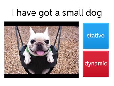  Stative and Dynamic Verbs