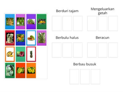 Sains Tahun 5- Ciri Tumbuhan Melindungi Diri Dari Musuh