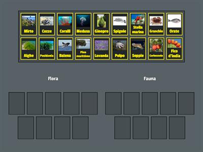 Flora e fauna