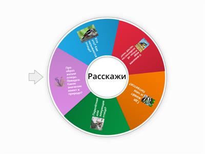 Расскажи о птице