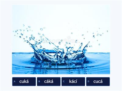 Písmeno C - slova - kvíz