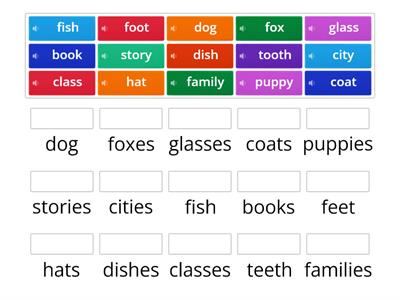 Singular and Plural Nouns 