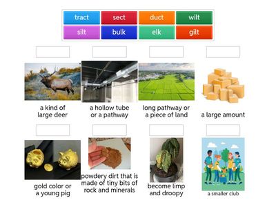 SS1 L28 Vocabulary -lt -lk -sp -ct