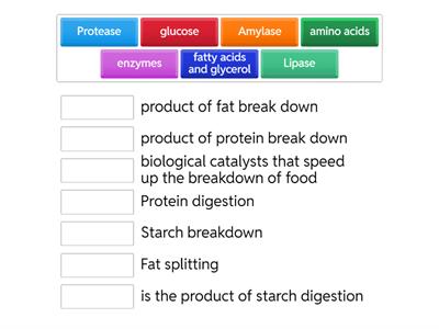 Enzyme Digestion Match-Up
