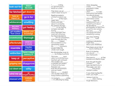 Focus 4 revision vocab