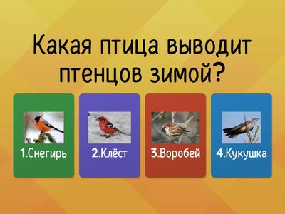 Экологическая викторина