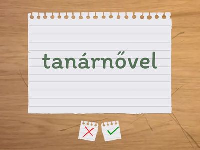 6.r. Inštrumentál - S  kým?  S čím? (s, nad, za......).......