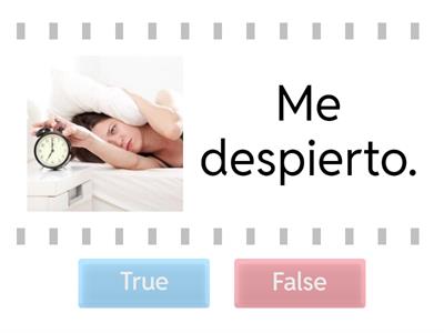 Daily Routine - True or False - Span 2