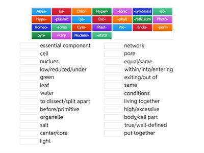 Root Words for Cell Unit