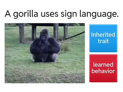  Inherited Traits or Learned Behaviors