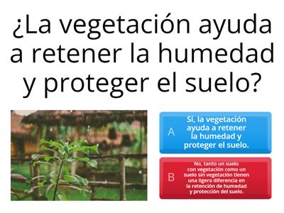 Diferencias de suelos con y sin vegetación 