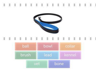 Match the word to the picture.