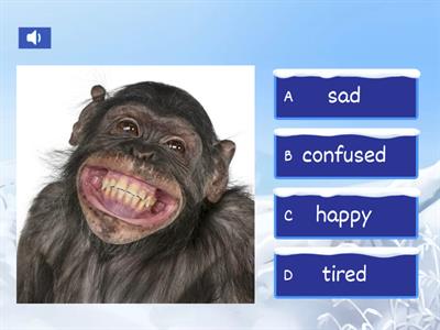 GoGetter 2 Unit 3.3 Feelings 