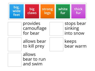 Polar Bear Adaptation