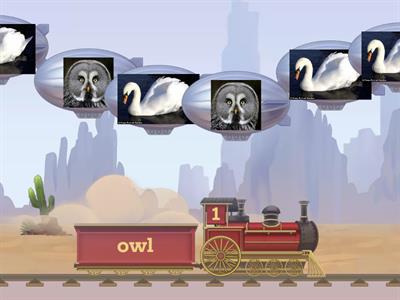 Birds (школьники)