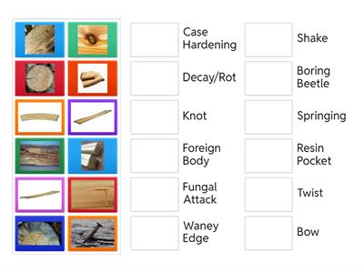Types of defects caused by seasoning and conversion processes 
