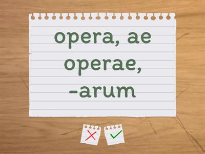 Individua la particolarità(I e II declinazione)