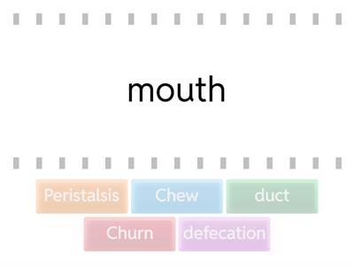 Mechanical digestion (GB)