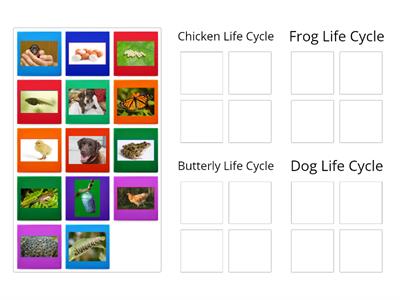 Life Cycle Sort