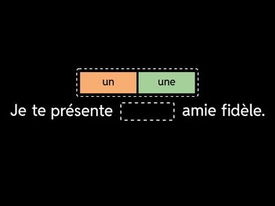 A1: Articles indéfinis