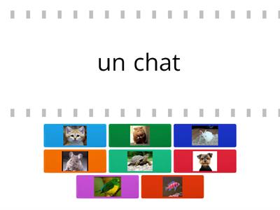 Les animaux de compagnie