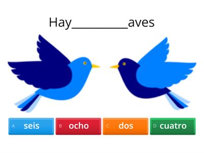 ¿Cuántos hay?