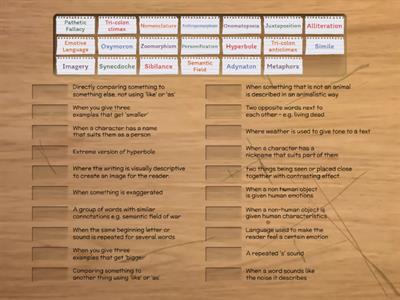 Language Devices - Match Up