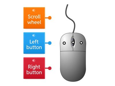 Label the Parts of a Computer Mouse