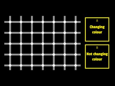 Optical illusions